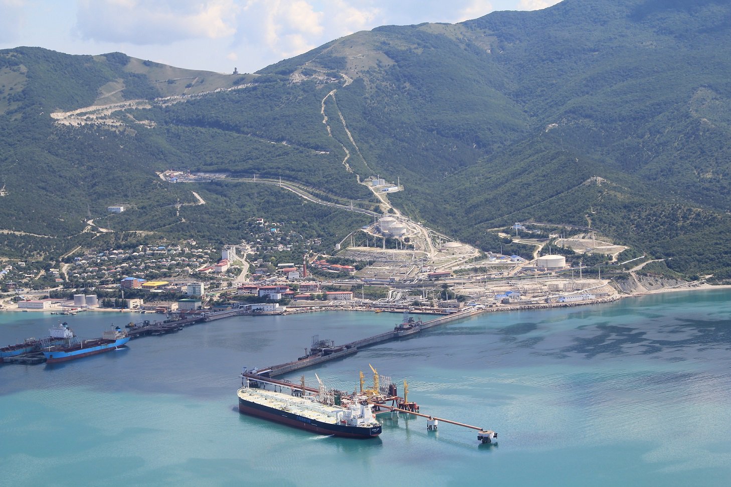 Шесхаріс - все - фото 1