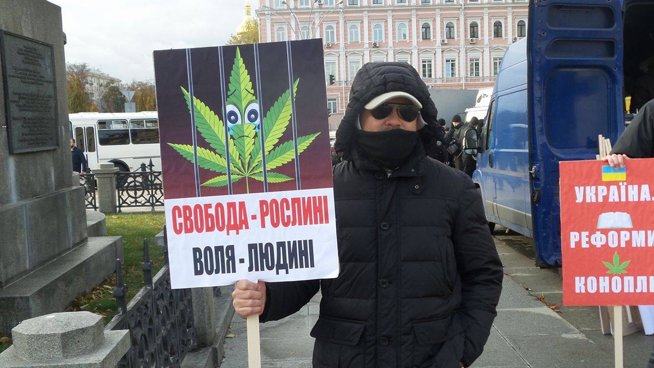 В Киеве прозошли потасовки между противниками и сторонниками легализации марихуаны - 19249 В Киеве прозошли потасовки между противниками и сторонниками легализации марихуаны - фото 19249