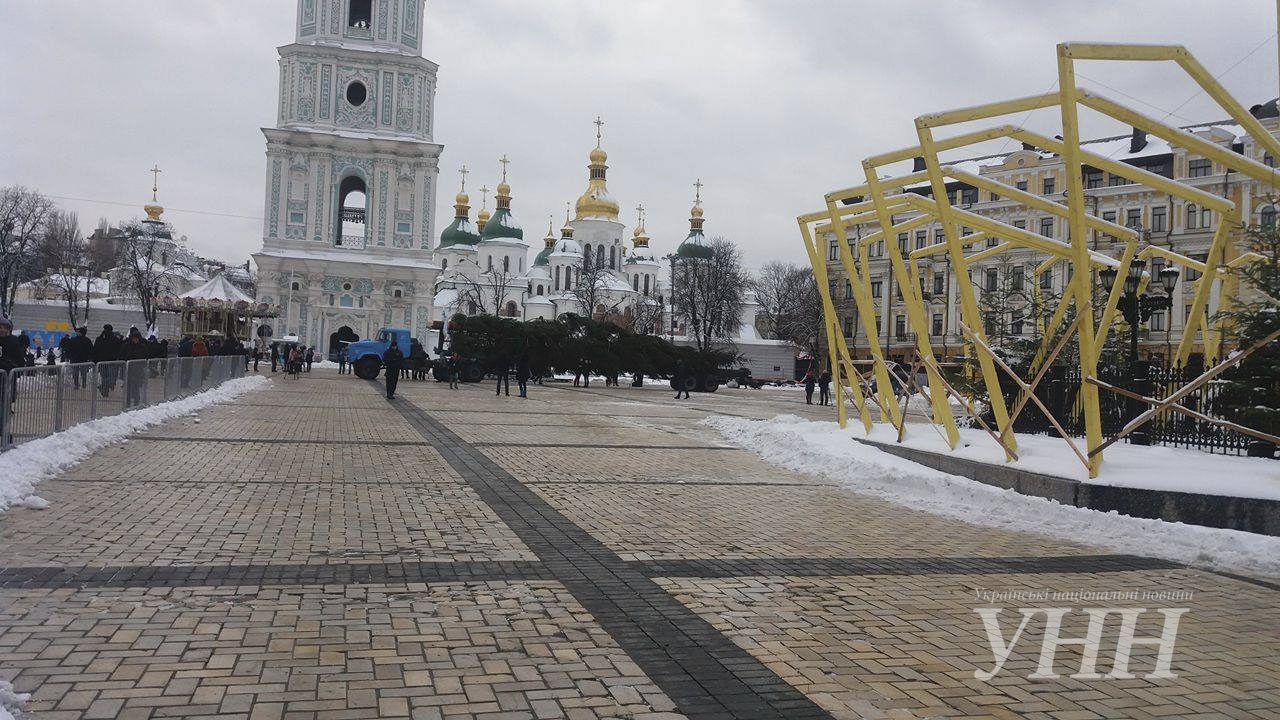 На Софиевскую площадь Киева привезли главную ёлку Украины - 24706 На Софиевскую площадь Киева привезли главную ёлку Украины - фото 24706