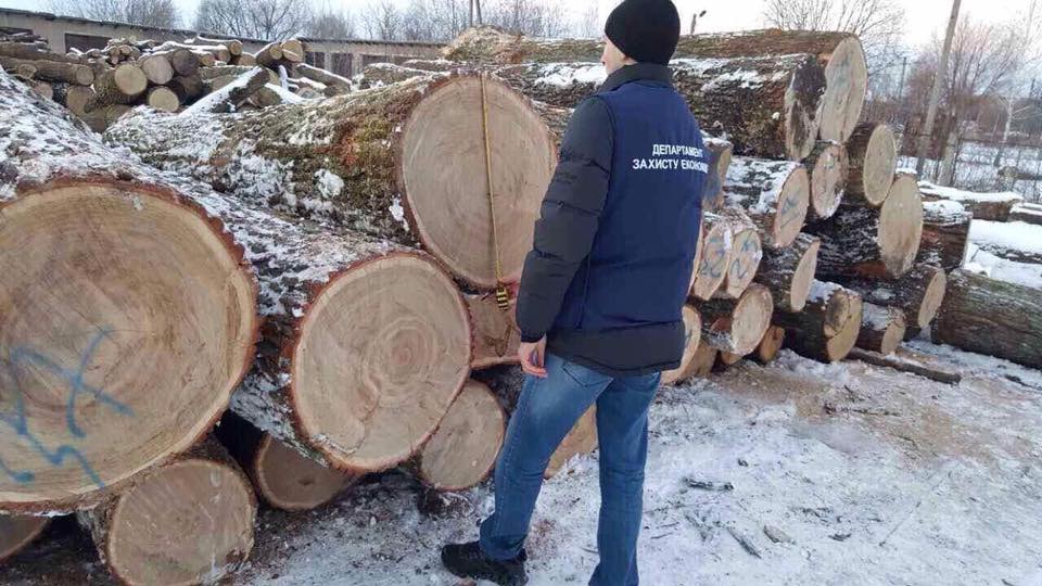 В Житомирской области на складе незаконно хранили краденную древесину на 1,5 млн - 26760 В Житомирской области на складе незаконно хранили краденную древесину на 1,5 млн - фото 26760