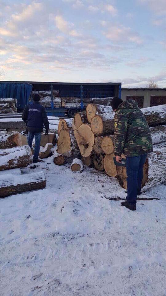 В Житомирской области на складе незаконно хранили краденную древесину на 1,5 млн - 26761 В Житомирской области на складе незаконно хранили краденную древесину на 1,5 млн - фото 26761
