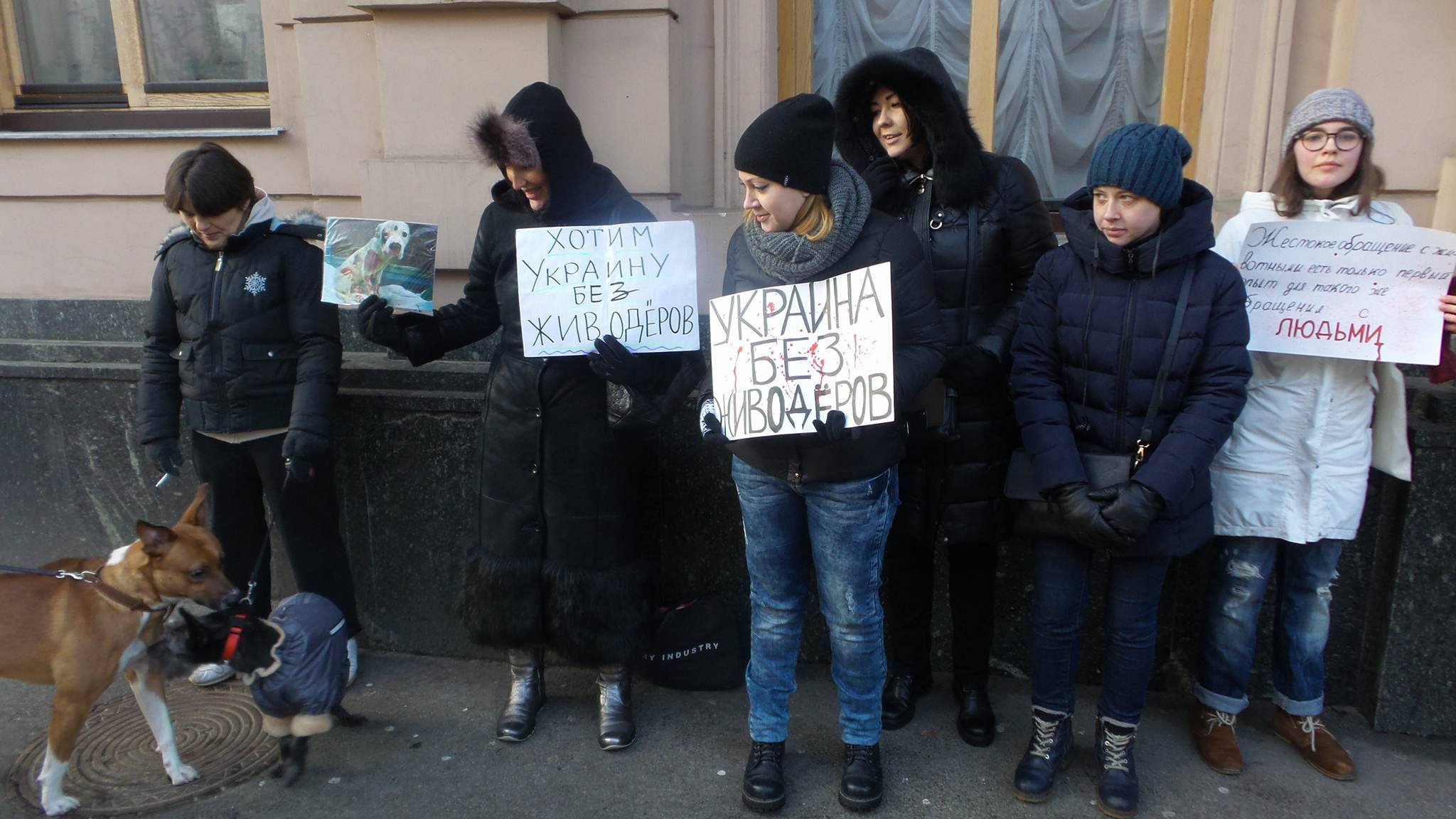 Защитники животных пикетируют ВР с требованием ужесточить наказание за живодерство - 30281 Защитники животных пикетируют ВР с требованием ужесточить наказание за живодерство - фото 30281