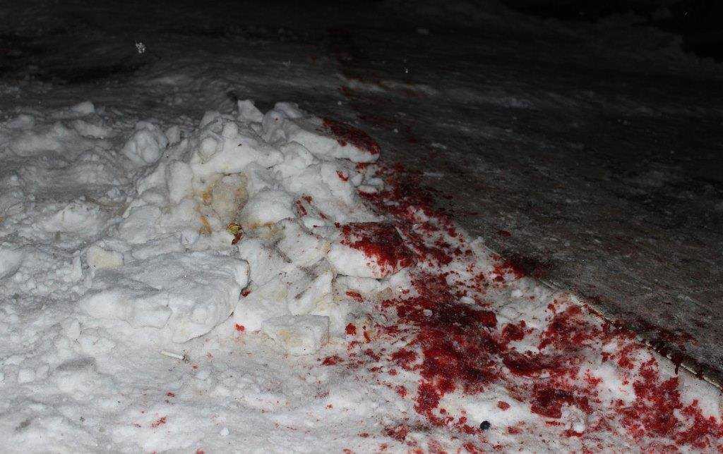 Неизвестные с винтовками и автоматами расстреляли молодых людей в Житомирской области - 30248 Неизвестные с винтовками и автоматами расстреляли молодых людей в Житомирской области - фото 30248