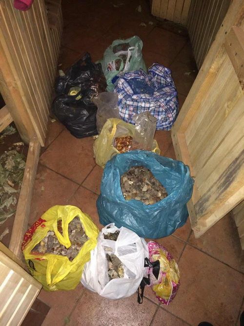 СБУ изъяла у организаторов янтарного бизнеса 660 кг янтаря, оружие и боеприпасы - 32695 СБУ изъяла у организаторов янтарного бизнеса 660 кг янтаря, оружие и боеприпасы - фото 32695