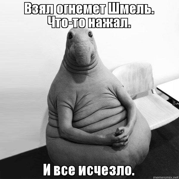 "Эта гоп-компания "хейтеров", "блогеров" - последние подонки. Я определил это дело как современный украинский Уотергейт", - Матиос о деле Петрова и Барабошко - Цензор.НЕТ 4578