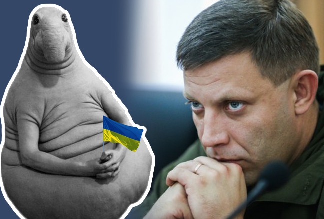 Предсказуемая жертва. Пять вопросов по мотивам ликвидации Гиви - 33591 Предсказуемая жертва. Пять вопросов по мотивам ликвидации Гиви - фото 33591