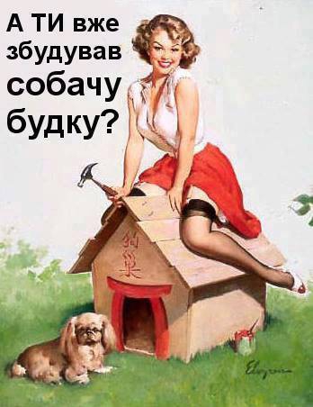 Петр и его будка. Как соцсети отрегировали на поучения президента - 37139 Петр и его будка. Как соцсети отрегировали на поучения президента - фото 37139