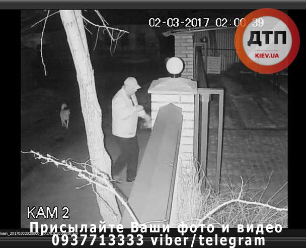 В Киеве полиция задержала мужчину, отравившего двух домашних собак - 37684 В Киеве полиция задержала мужчину, отравившего двух домашних собак - фото 37684
