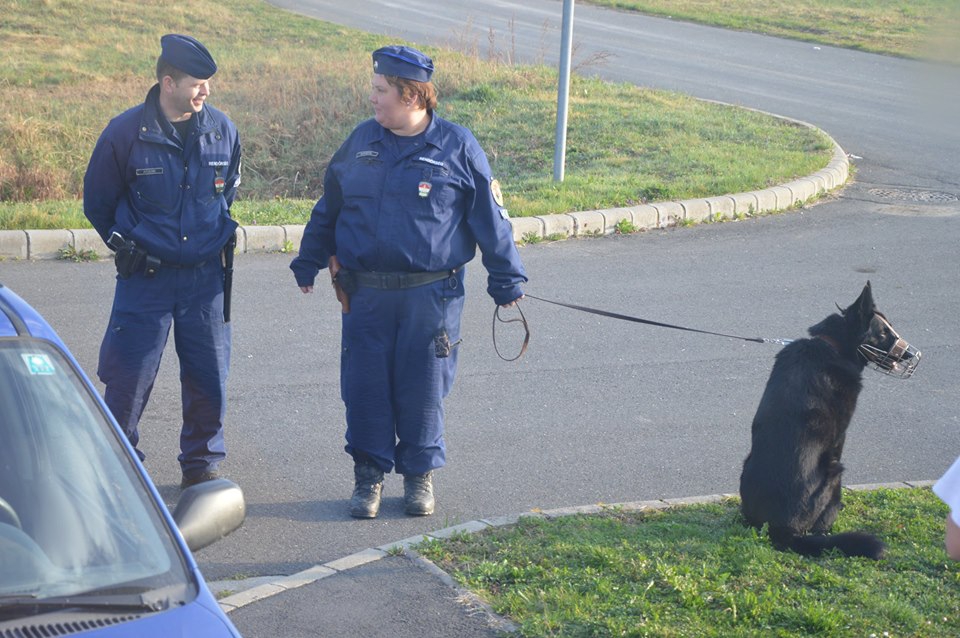 Безвіз, спільне горе і п’янка аж до буцигарні. Футбольна євроінтеграція по-українськи - 40334 Безвіз, спільне горе і п’янка аж до буцигарні. Футбольна євроінтеграція по-українськи - фото 40334