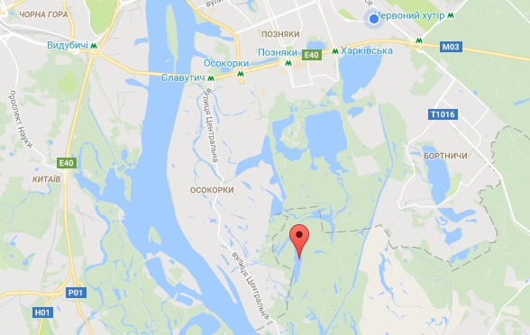 В окрестностях Киева на левом берегу масштабный пожар - 40410 В окрестностях Киева на левом берегу масштабный пожар - фото 40410