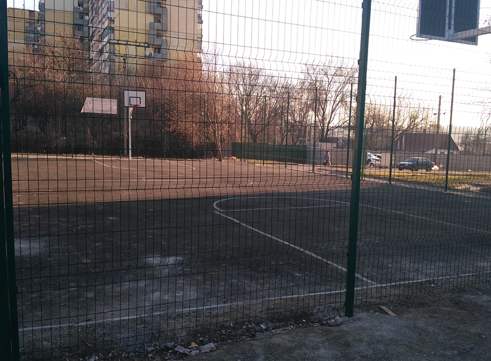 кедрина - 40616 кедрина - фото 40616