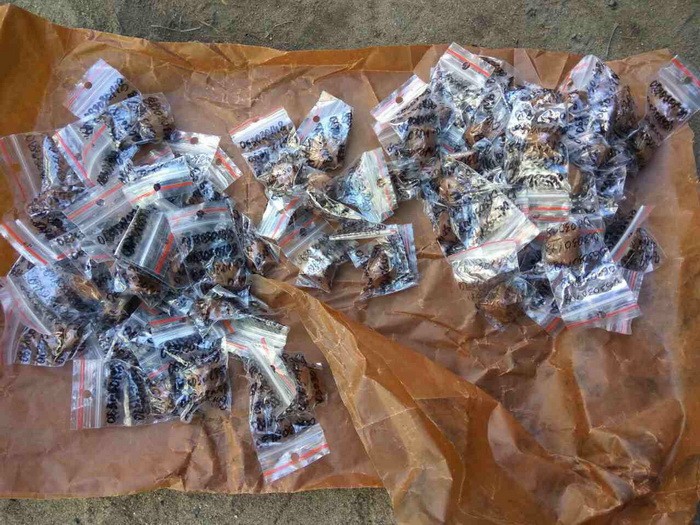 В Николаеве намеривались поставить в Россию газотурбинное оборудование - 42458 В Николаеве намеривались поставить в Россию газотурбинное оборудование - фото 42458
