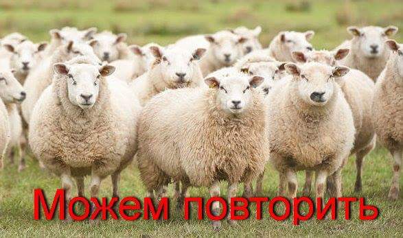 Плохому кораблю. Как и почему российские Военно-морские силы стали посмешищем - 46324 Плохому кораблю. Как и почему российские Военно-морские силы стали посмешищем - фото 46324