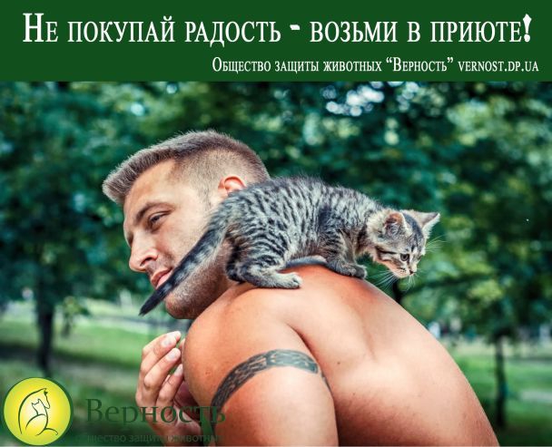 Полуобнаженные качки снялись в волонтерском фотопроекте с котятами и щенками - 61144 Полуобнаженные качки снялись в волонтерском фотопроекте с котятами и щенками - фото 61144