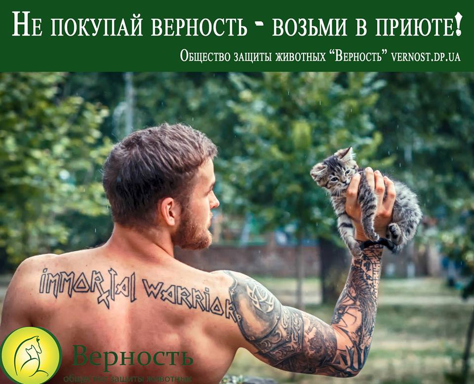 Полуобнаженные качки снялись в волонтерском фотопроекте с котятами и щенками - 61139 Полуобнаженные качки снялись в волонтерском фотопроекте с котятами и щенками - фото 61139