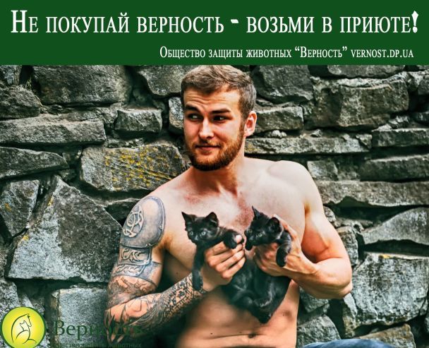 Полуобнаженные качки снялись в волонтерском фотопроекте с котятами и щенками - 61138 Полуобнаженные качки снялись в волонтерском фотопроекте с котятами и щенками - фото 61138