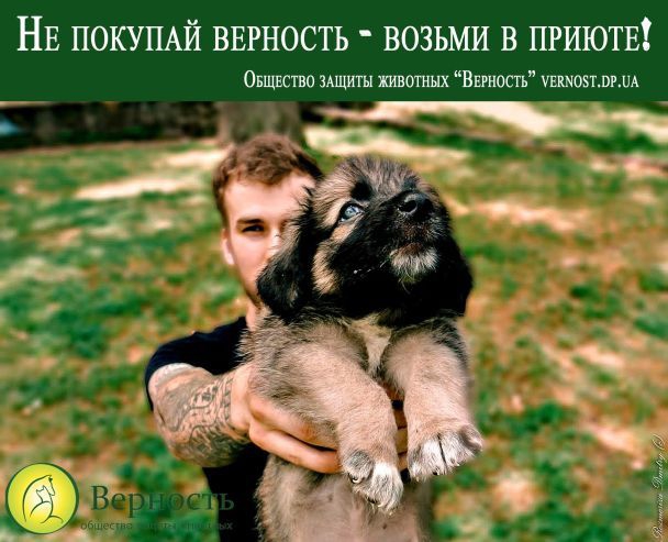 Полуобнаженные качки снялись в волонтерском фотопроекте с котятами и щенками - 61142 Полуобнаженные качки снялись в волонтерском фотопроекте с котятами и щенками - фото 61142