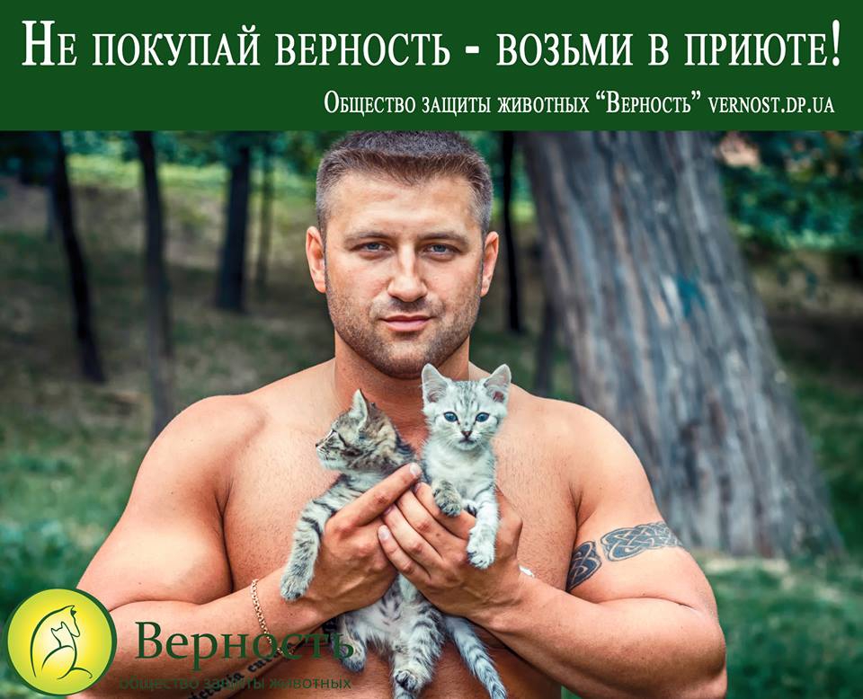 Полуобнаженные качки снялись в волонтерском фотопроекте с котятами и щенками - 61137 Полуобнаженные качки снялись в волонтерском фотопроекте с котятами и щенками - фото 61137