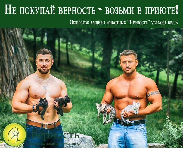 Полуобнаженные качки снялись в волонтерском фотопроекте с котятами и щенками - 61141 Полуобнаженные качки снялись в волонтерском фотопроекте с котятами и щенками - фото 61141
