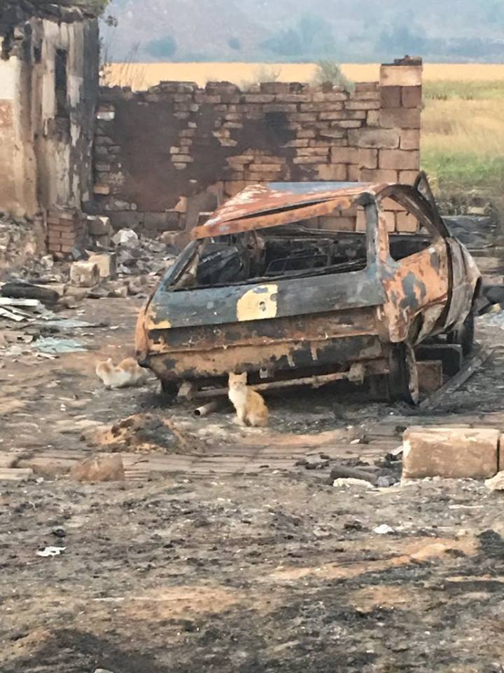 В Донецкой области пожар почти уничтожил целое село - 68657 В Донецкой области пожар почти уничтожил целое село - фото 68657