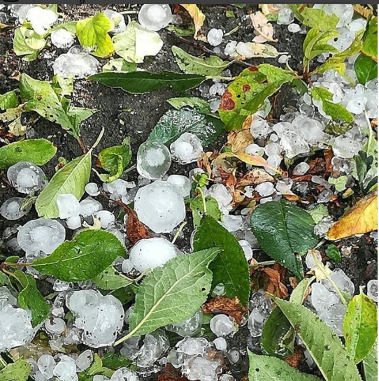 В Крыму курортный городок попал под страшный град - 66394 В Крыму курортный городок попал под страшный град - фото 66394