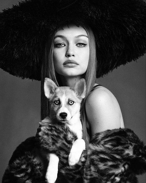 Джиджи Хадид продемонстрировала идеальную фигуру в японском Vogue - 75949 Джиджи Хадид продемонстрировала идеальную фигуру в японском Vogue - фото 75949