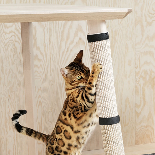 IKEA сделала мебель для собак и кошек - 80756 IKEA сделала мебель для собак и кошек - фото 80756