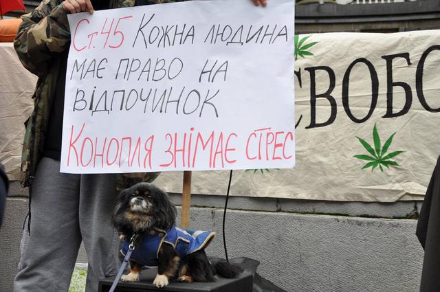 Конопляный марш свободы - 85589 Конопляный марш свободы - фото 85589