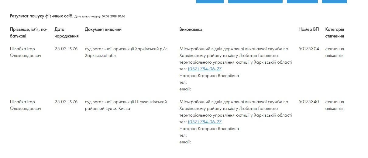 Экс-министр Швайка попал в реестр неплательщиков алиментов - 106991 Экс-министр Швайка попал в реестр неплательщиков алиментов - фото 106991