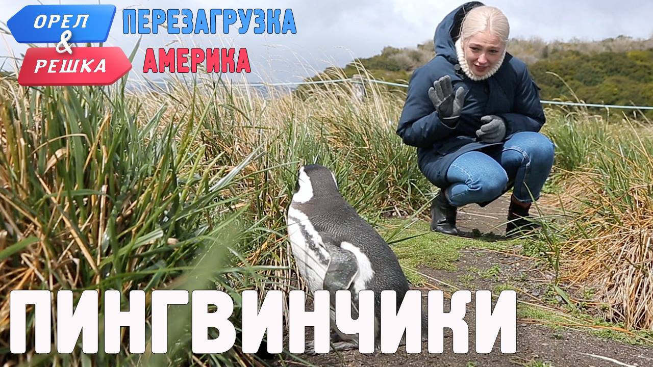 Орел и решка. Перезагрузка 2. Выпуск 1: Ушуайя - 106402 Орел и решка. Перезагрузка 2. Выпуск 1: Ушуайя - фото 106402