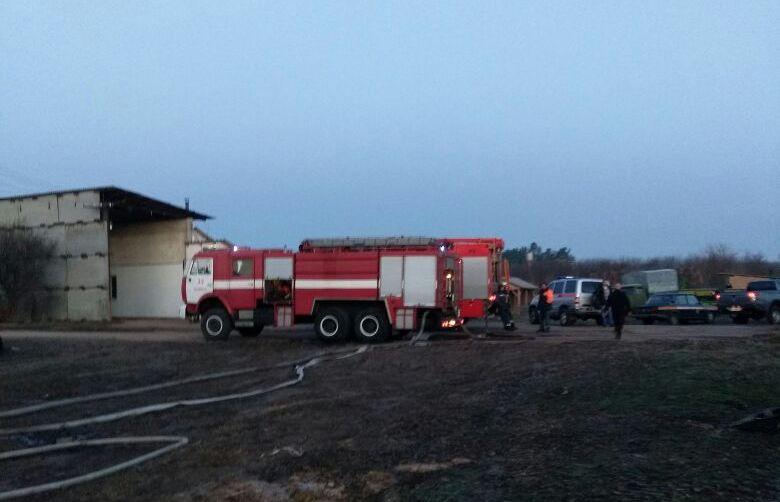 На Киевщине во время пожара в конюшне сгорели лошади - 118309 На Киевщине во время пожара в конюшне сгорели лошади - фото 118309