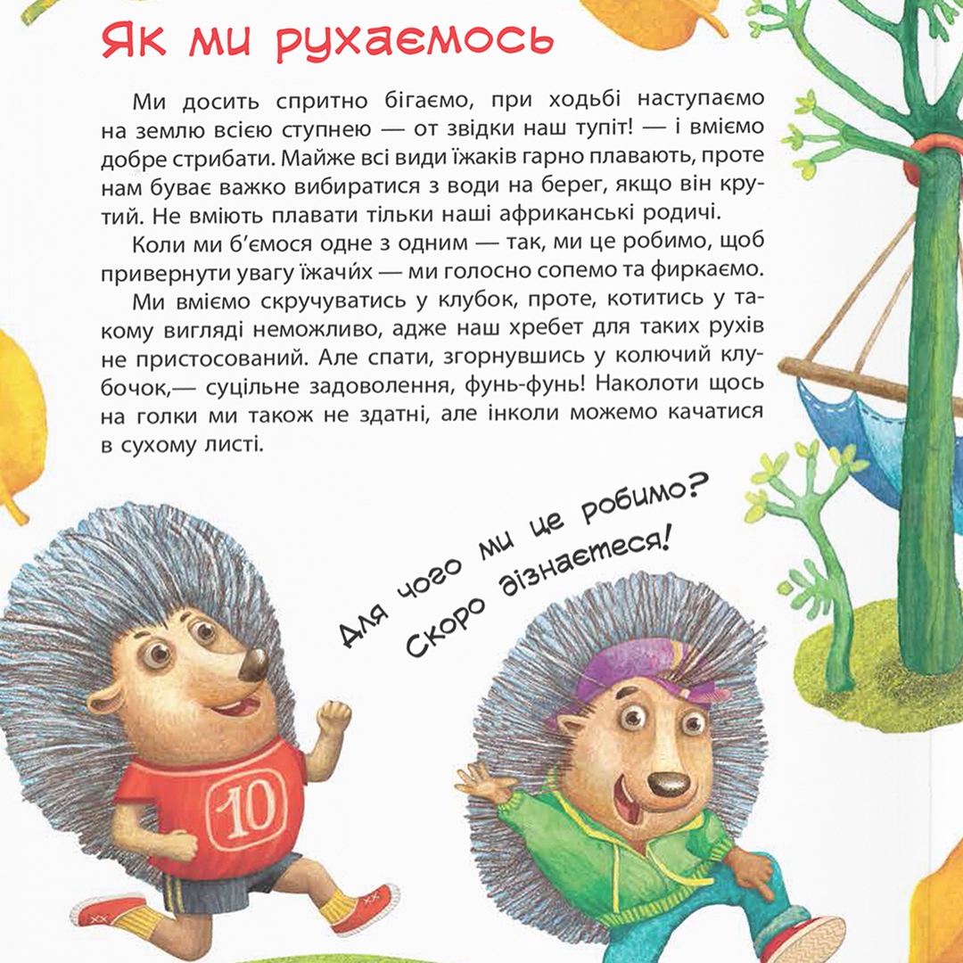 Пан Їжак: Потап написал книгу для детей - 117551 Пан Їжак: Потап написал книгу для детей - фото 117551