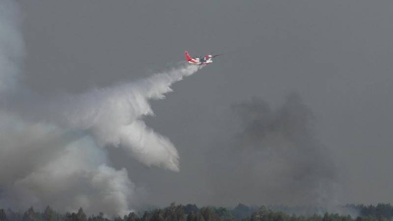 В Черниговской области произошел пожар возле военного полигона - 122980 В Черниговской области произошел пожар возле военного полигона - фото 122980