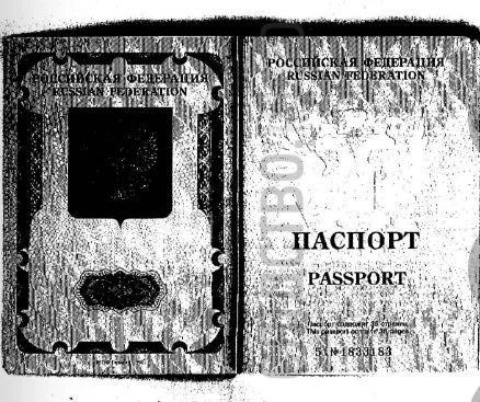 Журналисты нашли копию российского паспорта мэра Одессы Геннадия Труханова - фото 131911