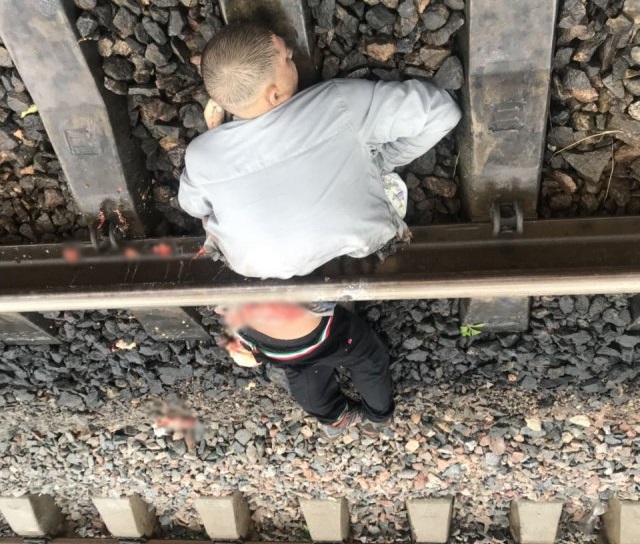В Херсоне поезд переехал мужчину, разделив его тело на две части (фото 18+) - фото 137621