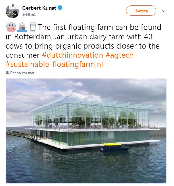В Нидерландах откроют первую в мире плавучую ферму - фото 141987