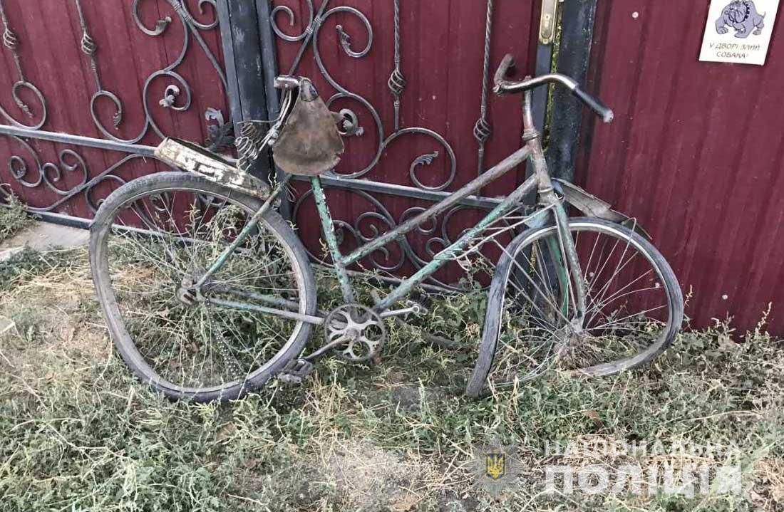 В Днепропетровской области задержали водителя, насмерть сбившего девочку на велосипеде - фото 143647