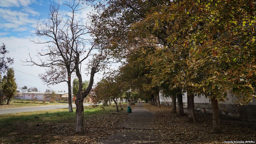 Деревья в Армянске на открытой территории - фото 145469