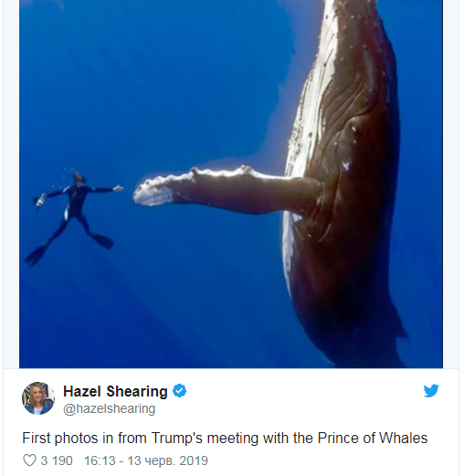 Трамп встретился с 'принцем китов': сеть взорвалась от смеха - фото 182693