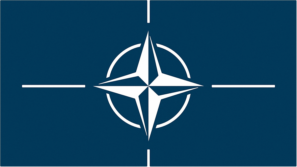 Около 18% граждан не смогли ответить на вопрос о вступлении в НАТО - фото 1
