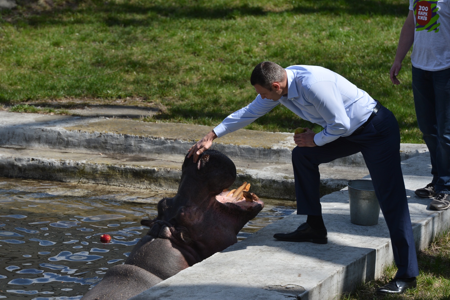 Мэр пообещал сделать киевский зоопарк лучшим в мире - фото 1