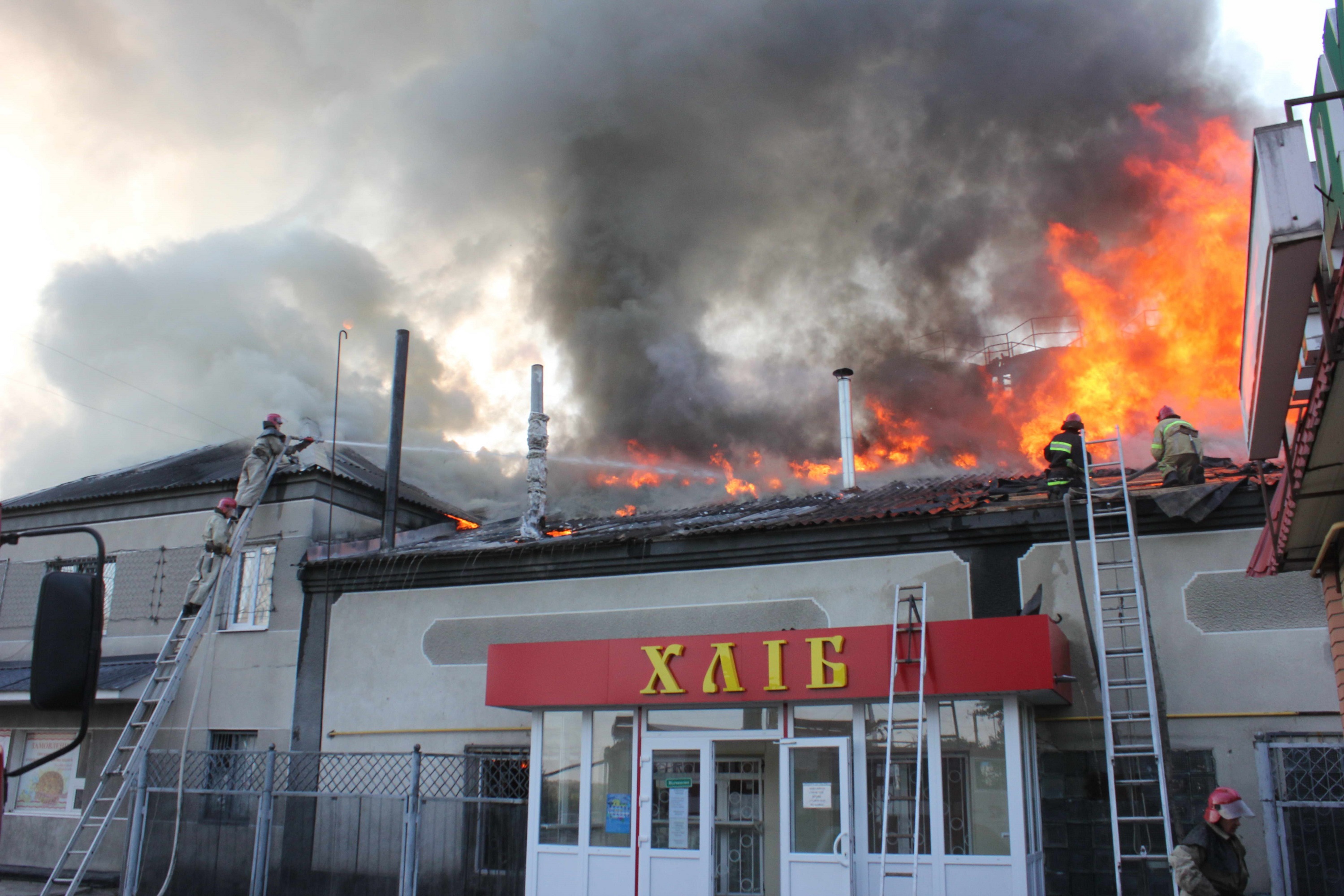 Пожар тушило 50 человек личного состава областного отделений ДСНС - фото 1