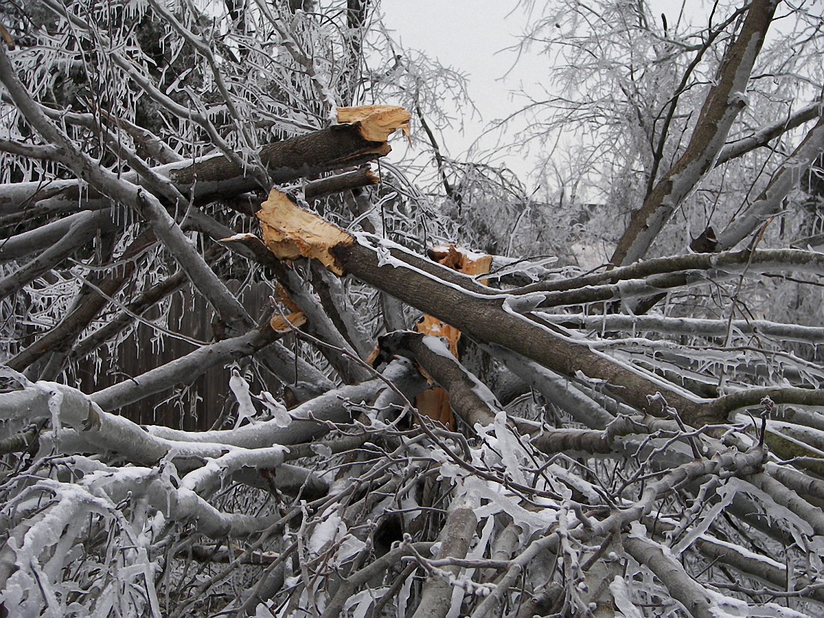 В Украине ожидаются сильные порывы ветра  - фото 1