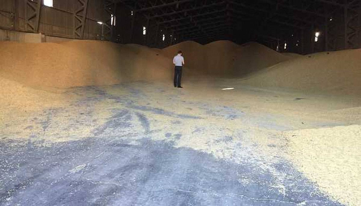 Плотницкий и компания опустошили склады с зерном в "ЛНР" - фото 1