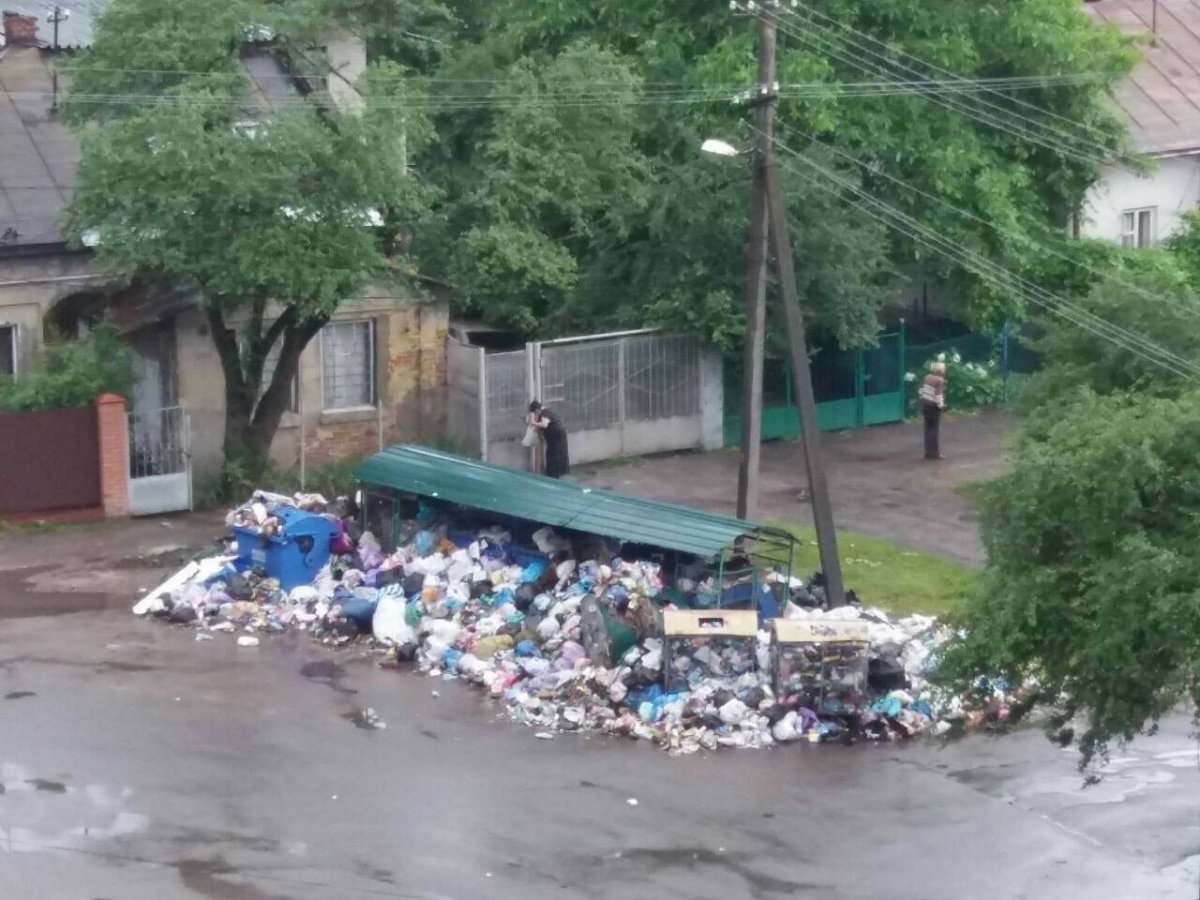 Из Львова вывозят десятки тонн мусора - фото 1
