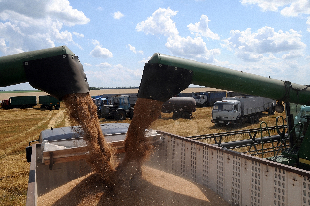 Украина сможет экспортировать больше пшеницы - фото 1