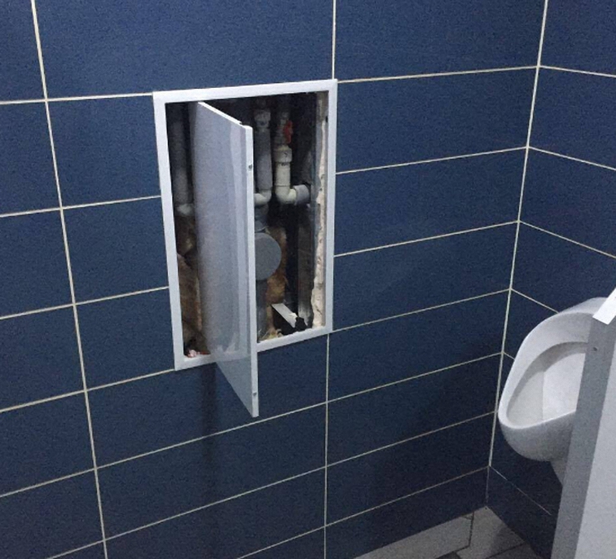 Сотрудники СБУ нашли в туалете аэропорта "Харьков" тайник - фото 1