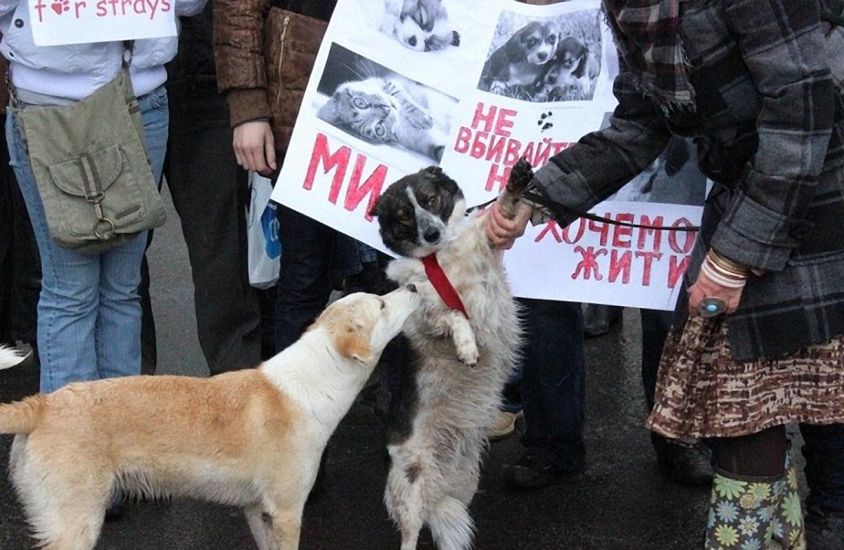 Марш за права животных в Киеве - фото 1