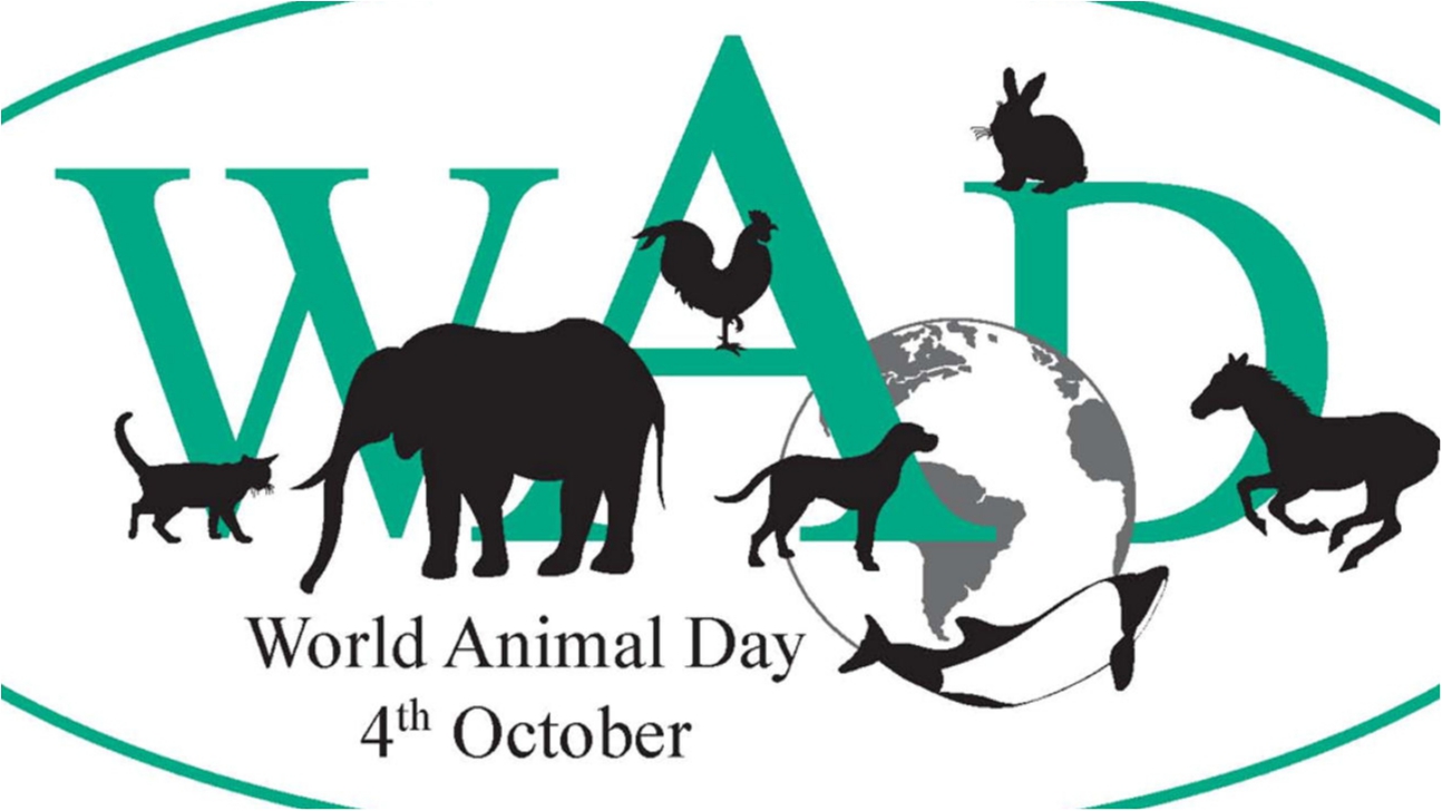 Всемирный день защиты животных - 4 октября - фото 1