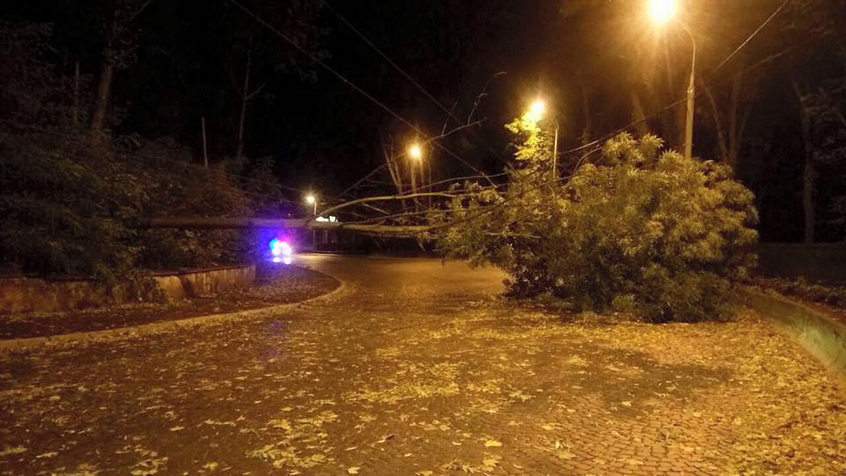 Львовская область пострадала от урагана - фото 1
